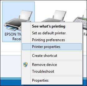 epson printer properties popup.jpg