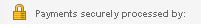 secure processing.gif