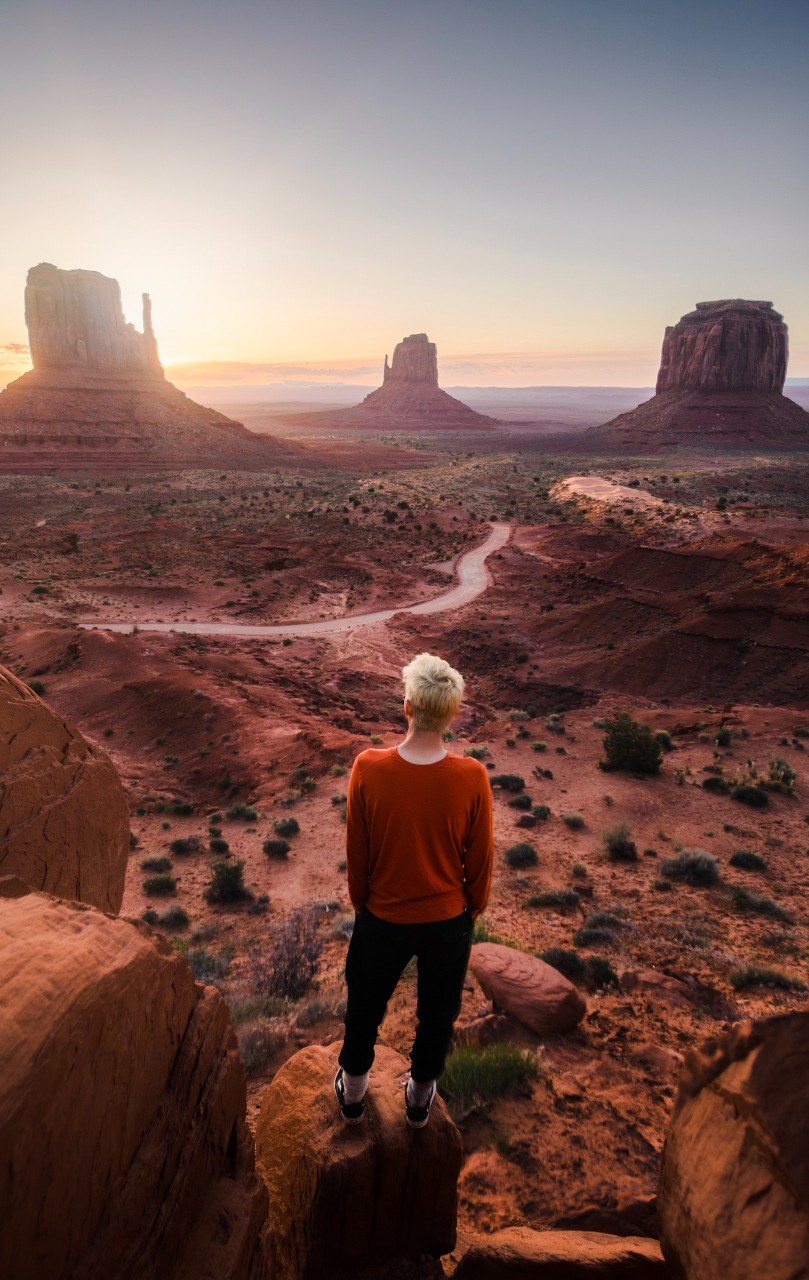 adventure-arid-bushes-2379864 crop.jpg